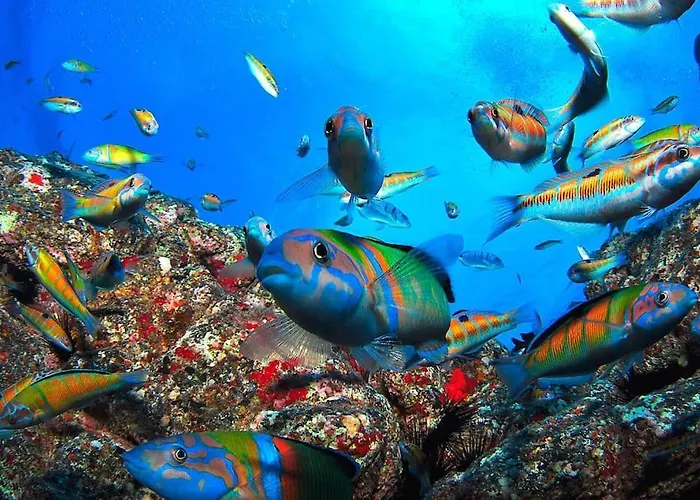 Apartamento Costa Golf