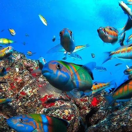 Apartamento Costa Golf